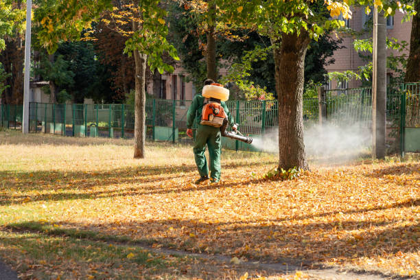 Jurupa Valley, CA Pest Control Company