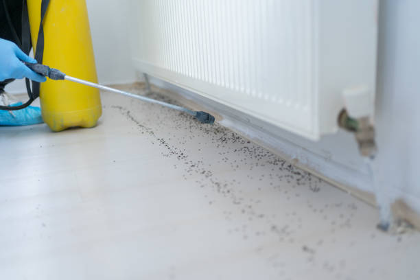 Best Cockroach Control Services  in Jurupa Valley, CA