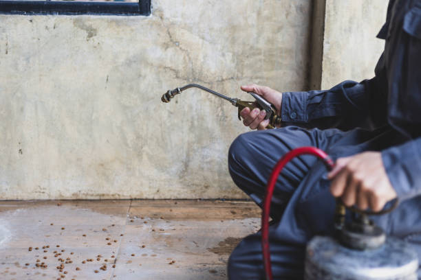 Best Best Pest Control Companies  in Jurupa Valley, CA